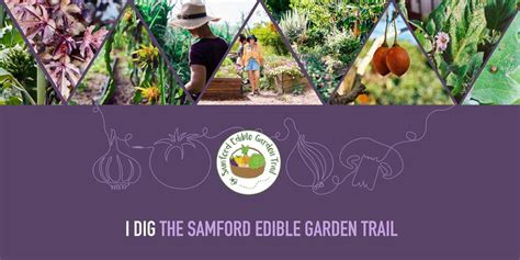 samford gardens|Samford Edible Garden Trail – 2023